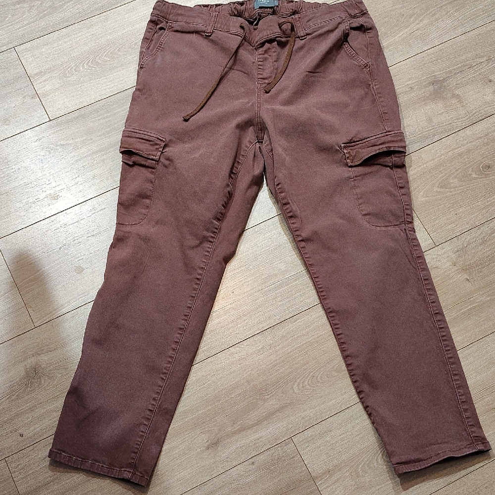 Torrid Ladies Chocolate Cargo Pants Ladies Size 2R/2XL